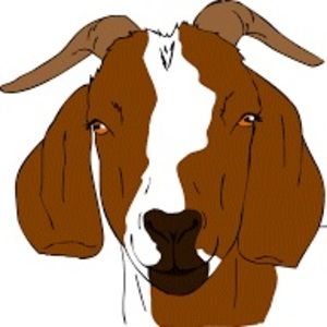 Meet your Posher, Rhys